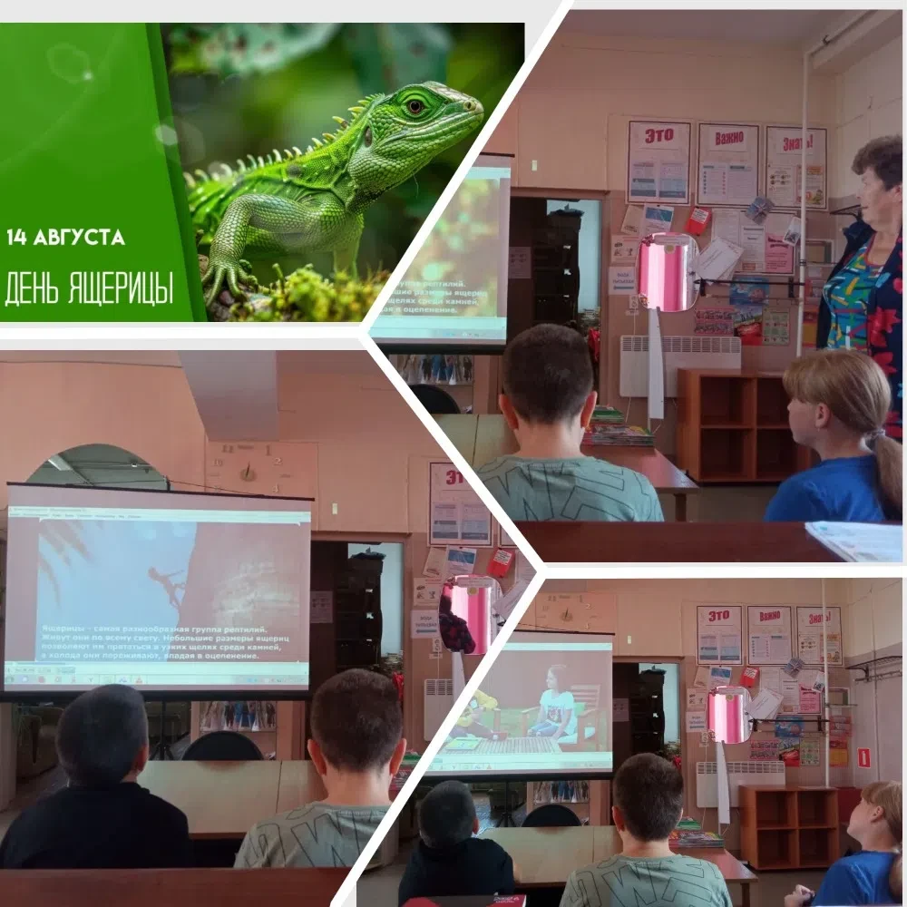 🦎 14 августа отмечается Всемирный день ящериц