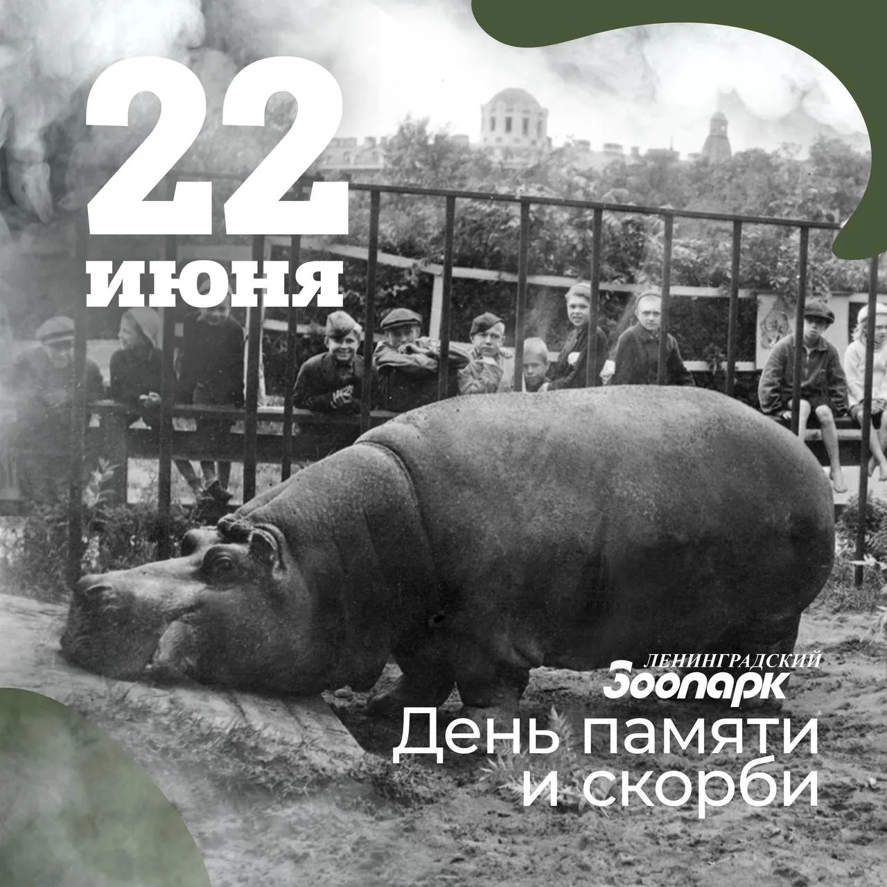 Всю Великую Отечественную войну в Ленинграде существовал зоологический сад. Для посещения его закрыв