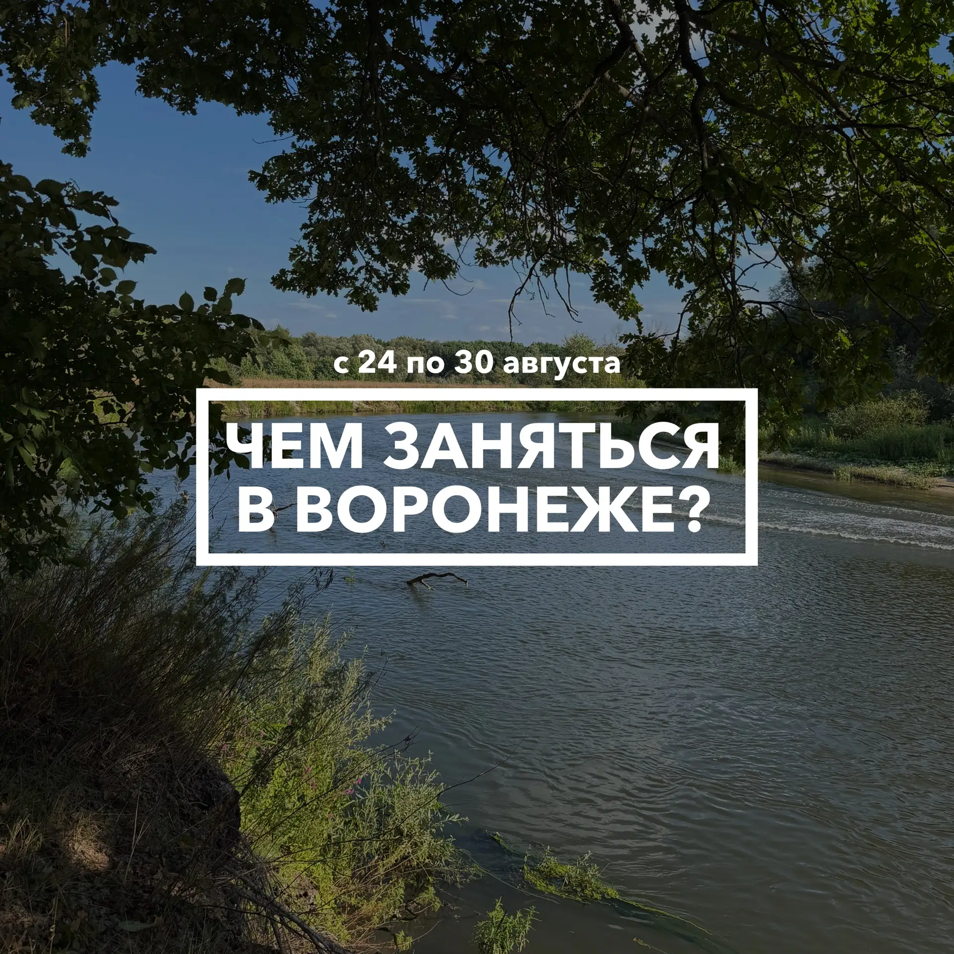 Дайджест событий в Воронеже с 24 по 30 августа 🧩