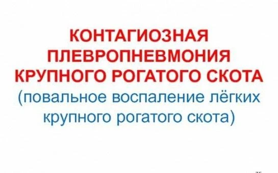 ПАМЯТКА ДЛЯ НАСЕЛЕНИЯ