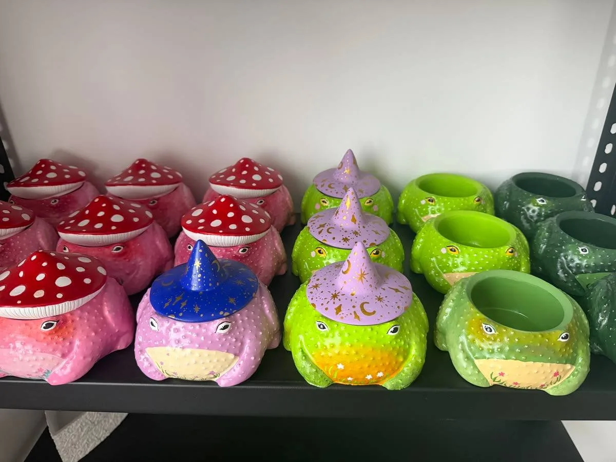 🐸 Эта керамическая прелесть может поселиться у вас дома! 

В студии KoPusto_art пройдет творческий 