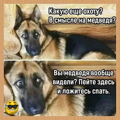 На охоту они собрались....на медведя🤪ну-ну