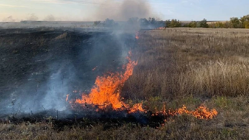За последние два дня в Саратовской области произошло 76 пожаров, более половины из кото...