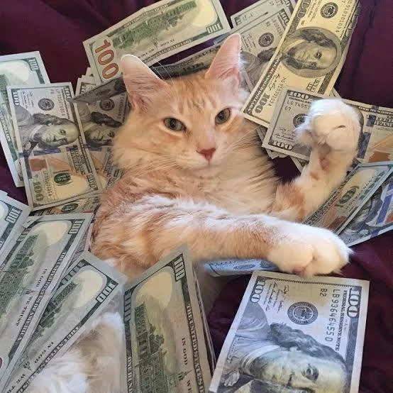 💰 Тельцы, Львы и Козероги невероятно разбогатеют после 6 сентября, — астрологи