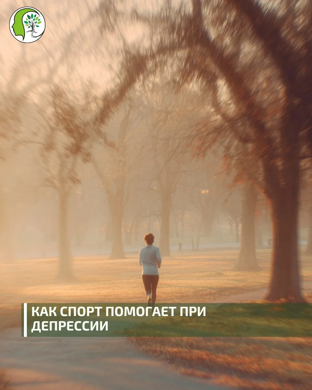 Исследования, проведённые в Нидерландах и других странах, показали: регулярные пробежки...