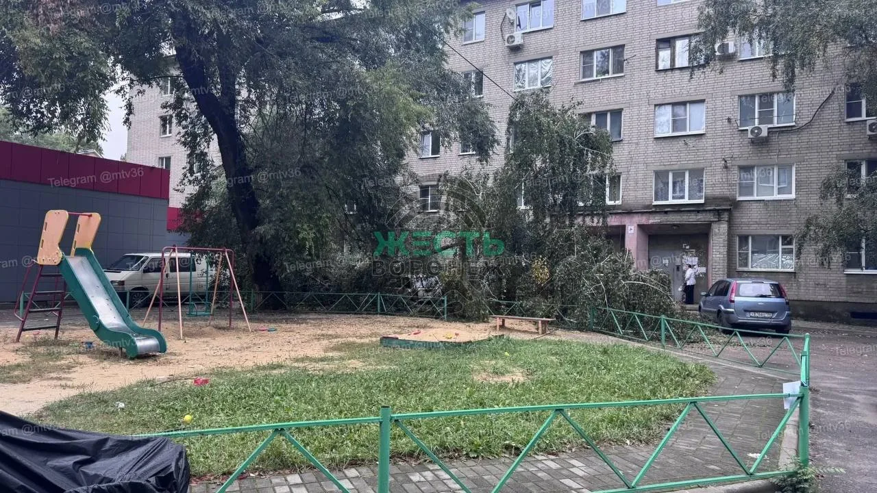 ⚡️ Упавшее дерево перекрыло проезд во дворе на Урицкого