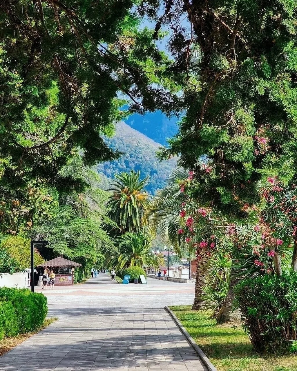Абхазия — удивительный, солнечный уголок нашей планеты 🌴