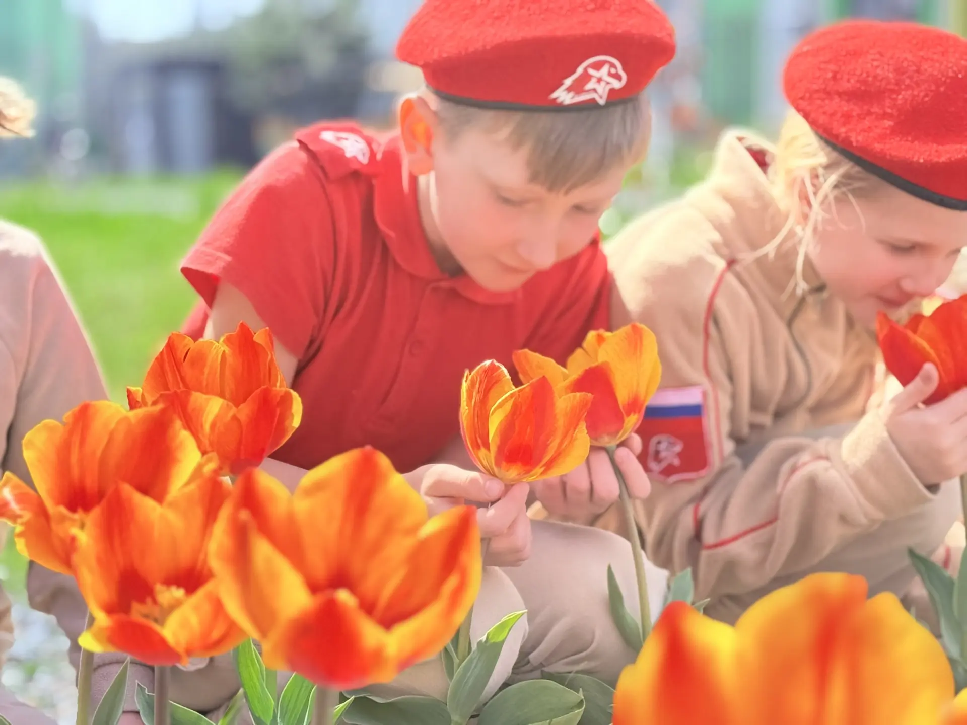 🌷 «Тюльпан Победы»: память, которая расцветает!🌷  Сквер «Живая память» словно зазвучал по-новому…  Т