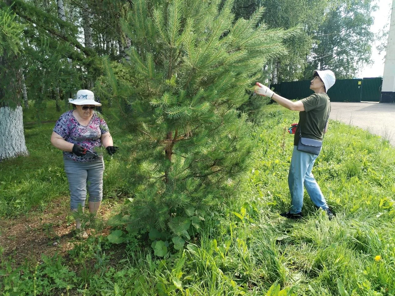 🌿 «Жизнь прекрасна!»: в Алаторке прошёл час полезных советов для активных иглинцев
В Доме культуры 