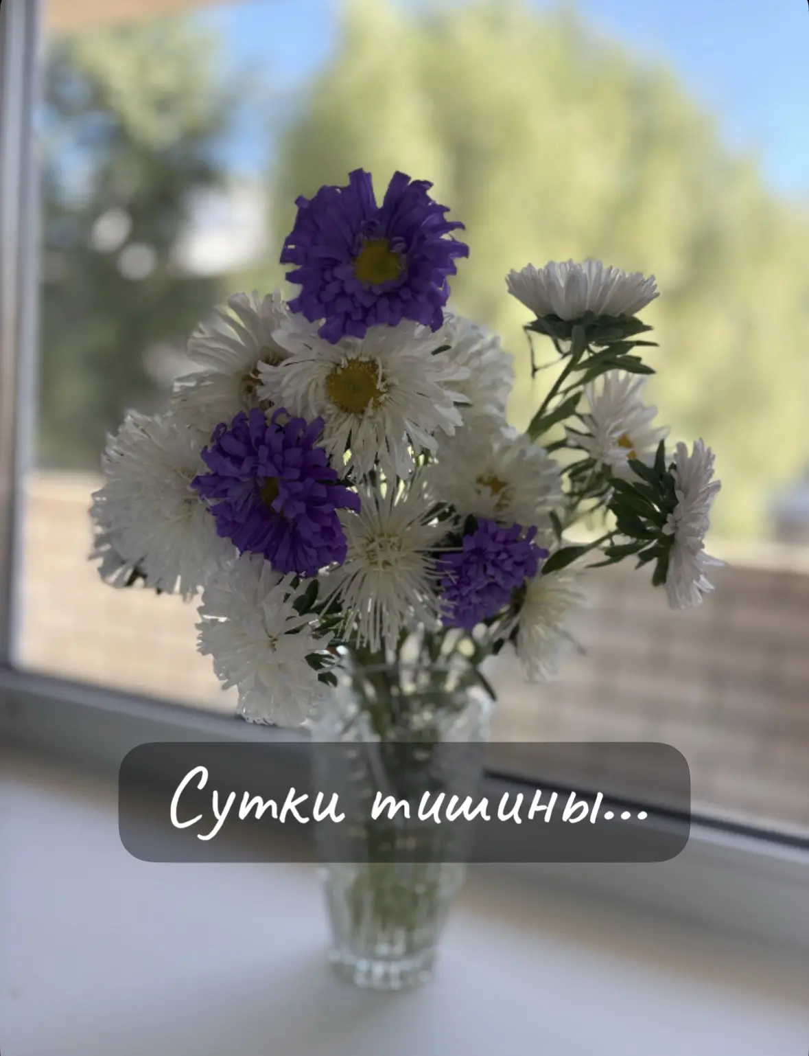 Несколько дней я провела на больничном. Отменила занятия, встречи и дала себе время вос...