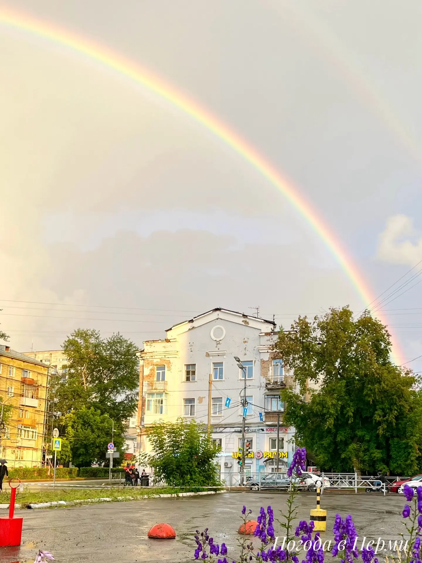 А вы уже видели радугу этим летом?

❤️ — Да
👍 — Пока нет