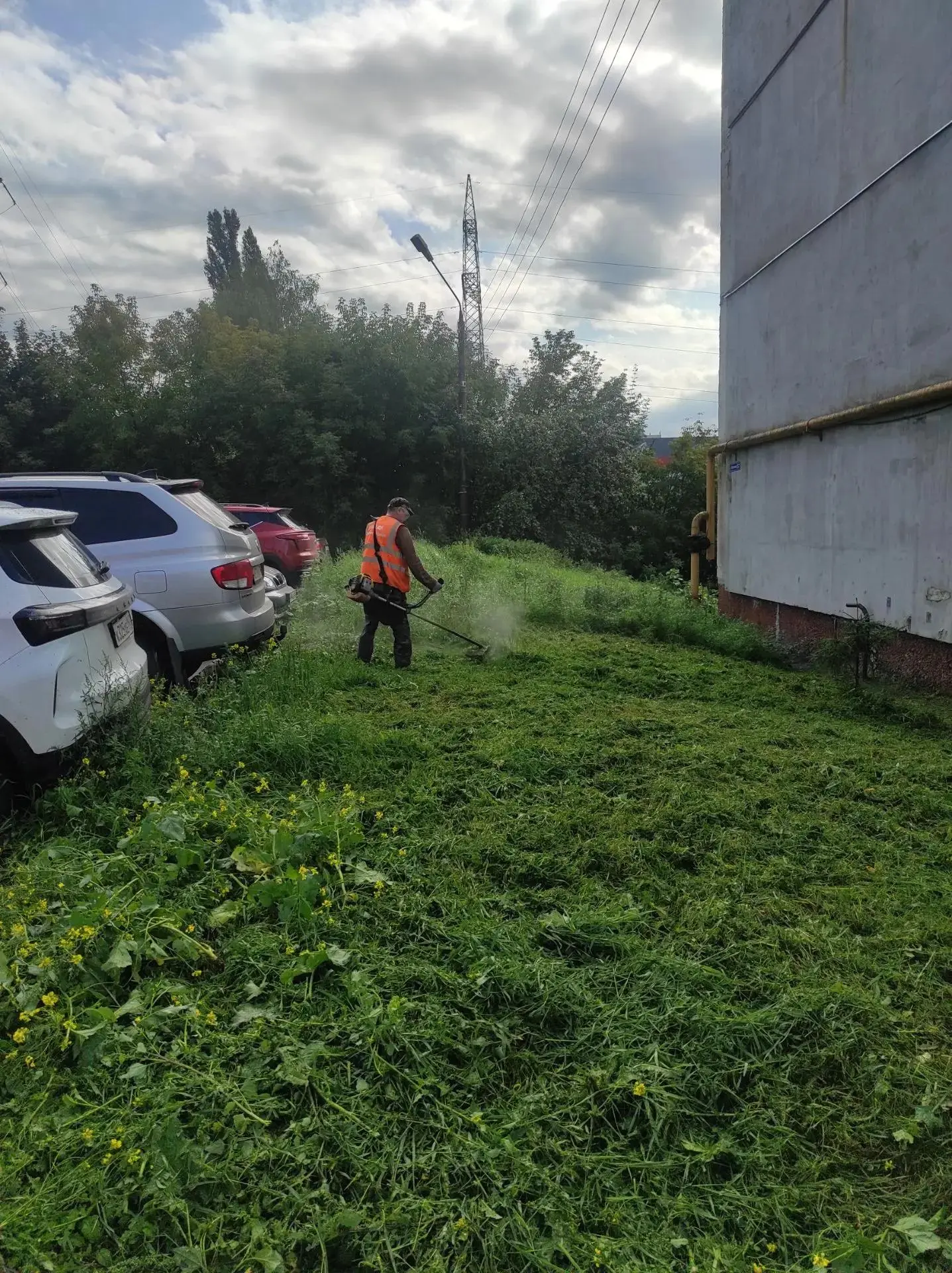 🌿 Покосы — в ежедневной работе