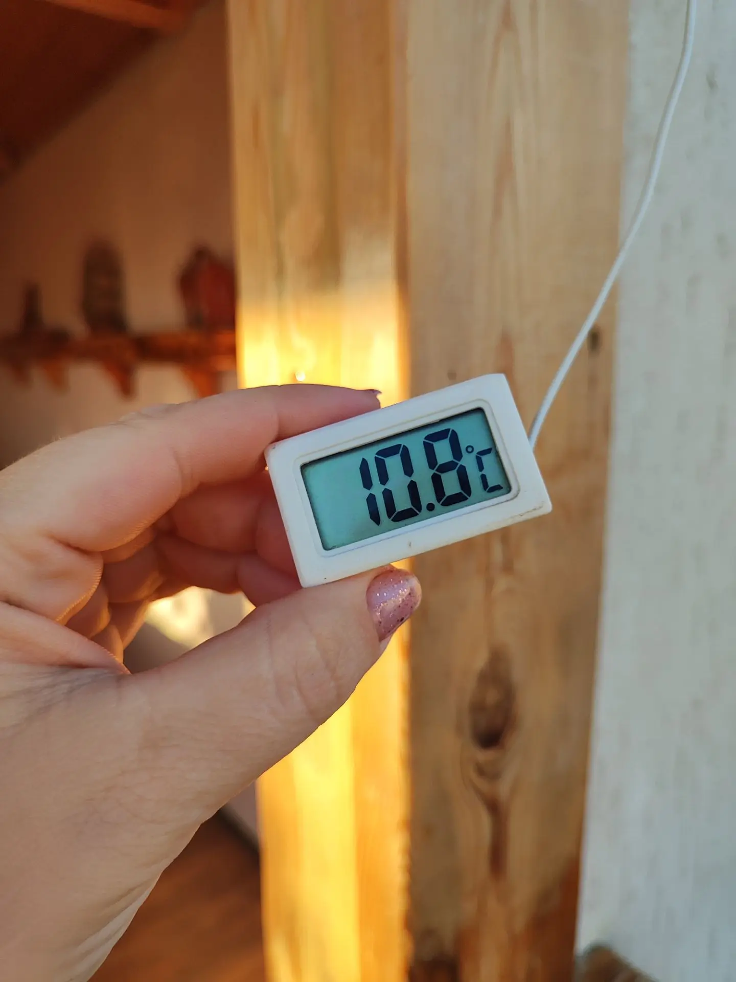 Доброе утро с солнечной Кубани🌞