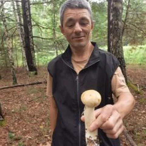 «Грибная пора.»