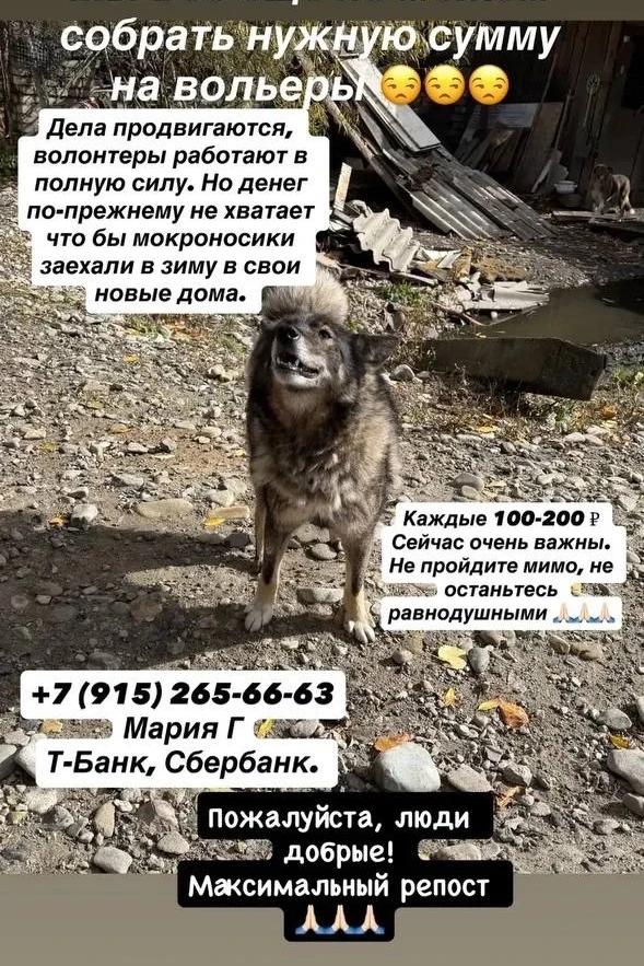 👌❤️Пройти нельзя помочь