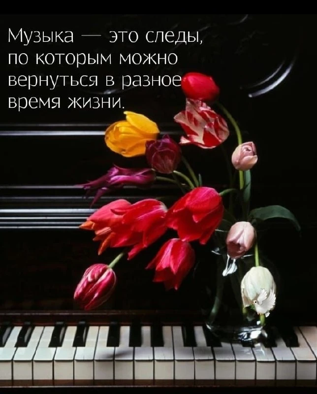 Открытки: подписаться ❤️