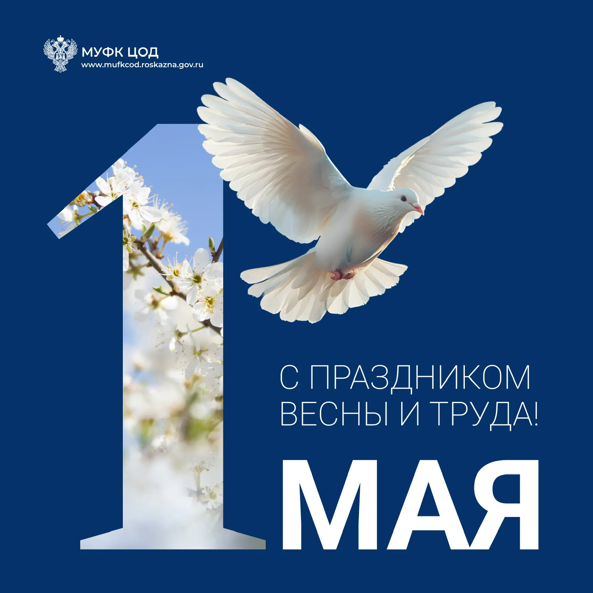 🌷Команда МУФК ЦОД сердечно поздравляет всех с Днём трудящихся!