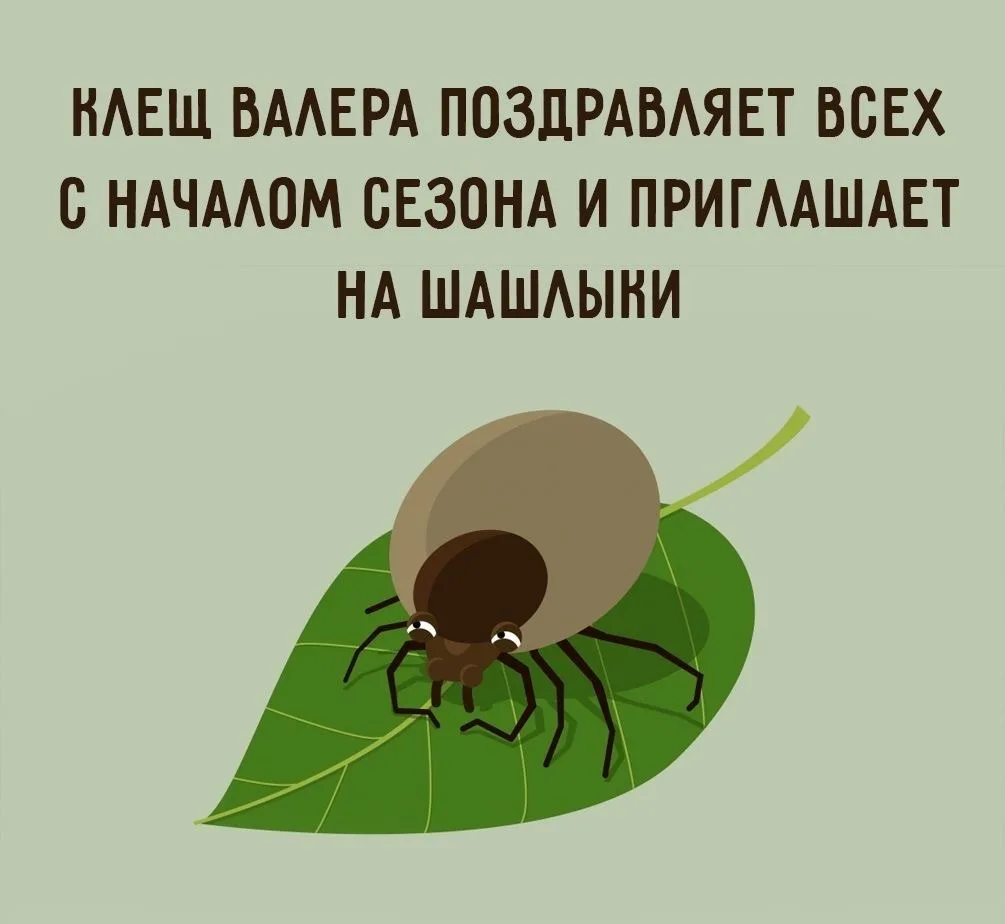 🤯 Более 760 человек пострадали от укусов клещей в Бурятии  С начала сезона к врачам после укусов кле