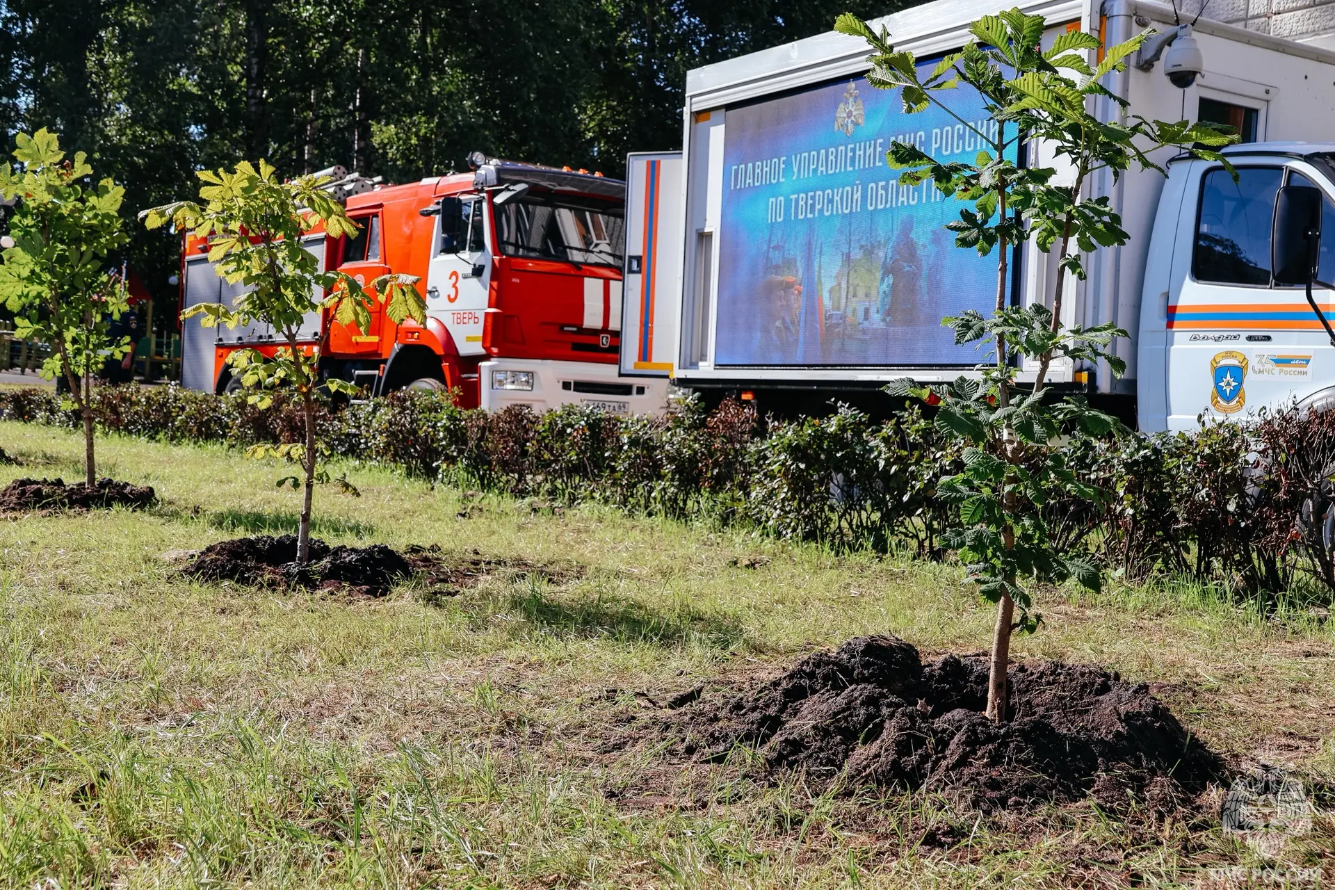 🌳 Аллея выпускников ВУЗов МЧС России