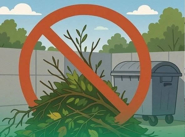 С 1 сентября 2025 года вступил в силу запрет на размещение веток, листьев, травы и проч...