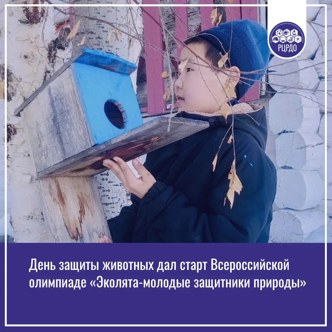 🐶 Всемирный день защиты животных: забота начинается с малого