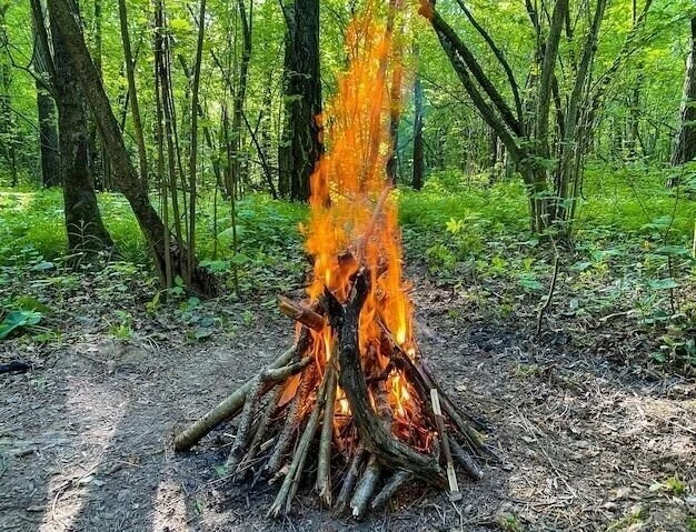 ЗАГОВОР - ОБРАЩЕНИЕ, НА ВОЗВРАТ НЕГАТИВА ЧЕРЕЗ СИЛУ ОГНЯ.