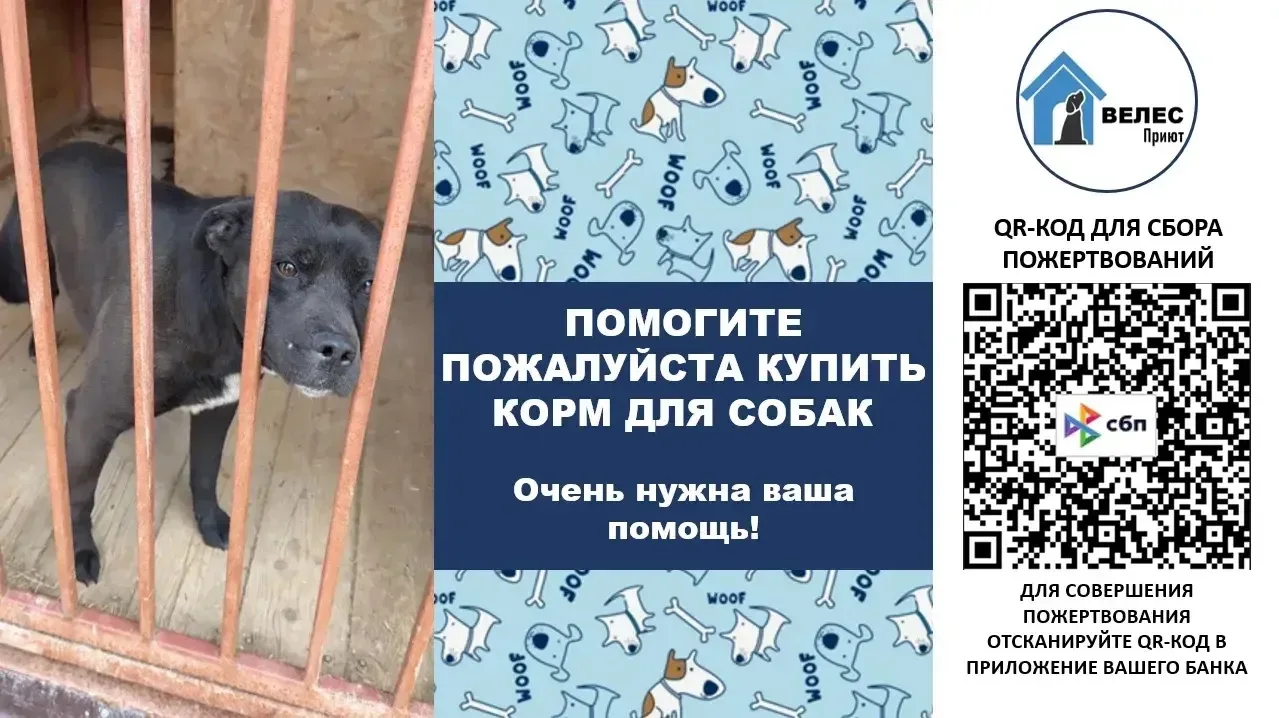 СБОР НА ПОКУПКУ КОРМА ДЛЯ СОБАК!
