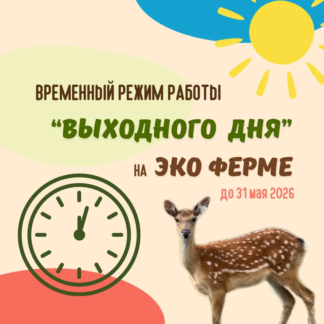 ❗️Важное объявление! 🐄