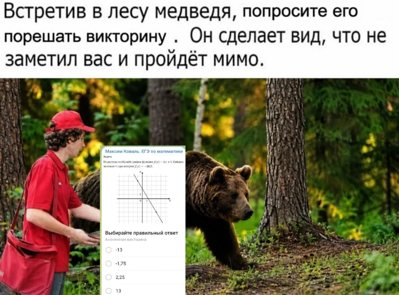 🙃Друзья, в отличие от медведя с картинки не проходите мимо!) и отрешайте новую викторину для доп.пр