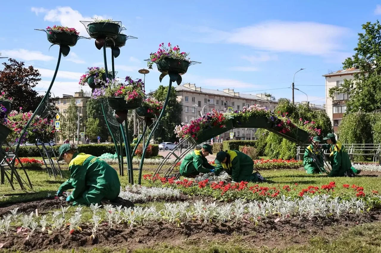 🌿 Студенты и школьники вышли на работу в парки Петербурга — этим летом город убирают и озеленяют бо