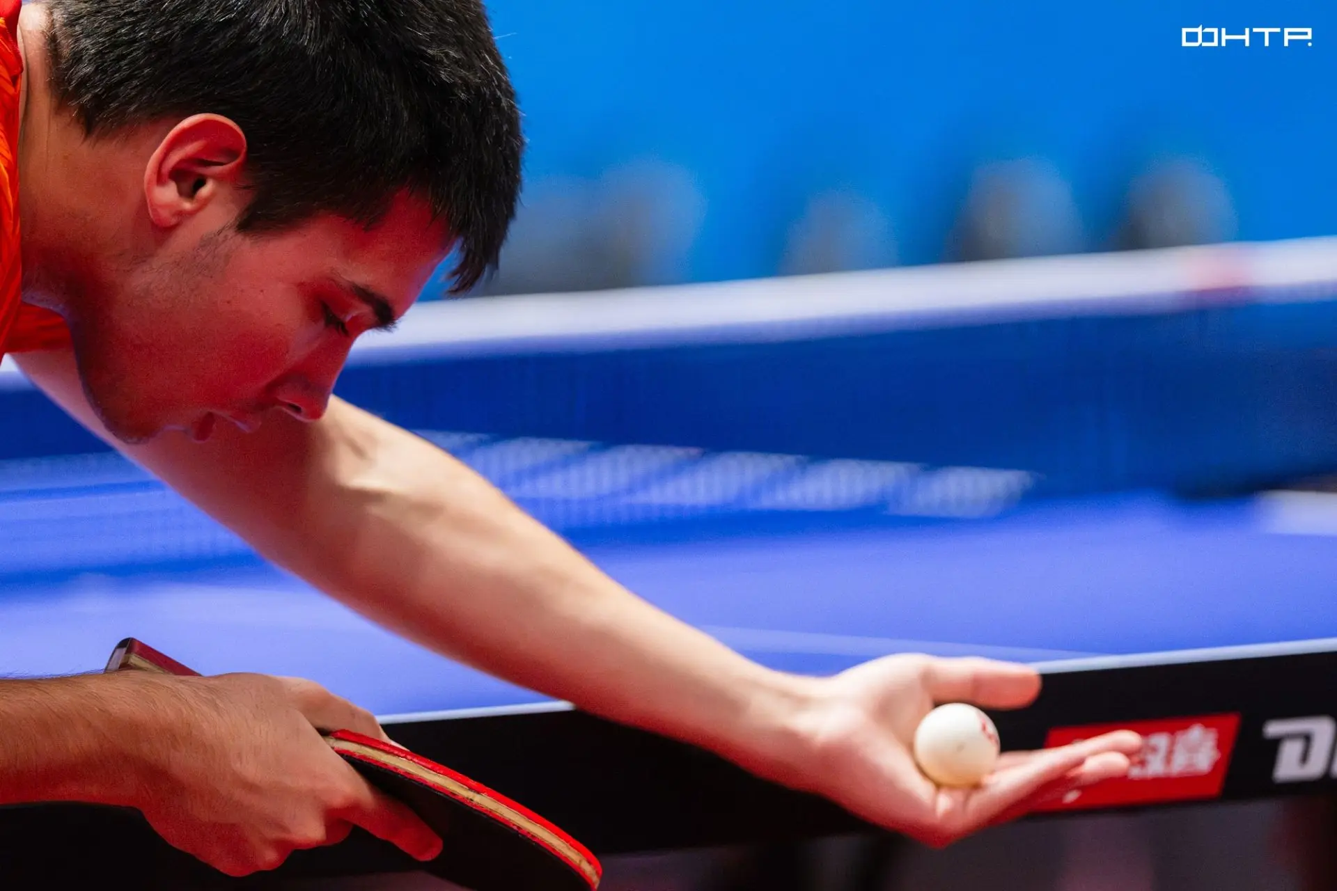 🏓 Теннис настольный, но мастера – большие!