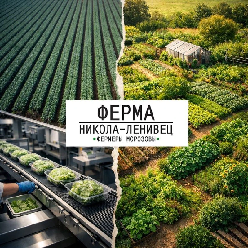 Мы редко задумываемся, откуда на самом деле приходит еда.