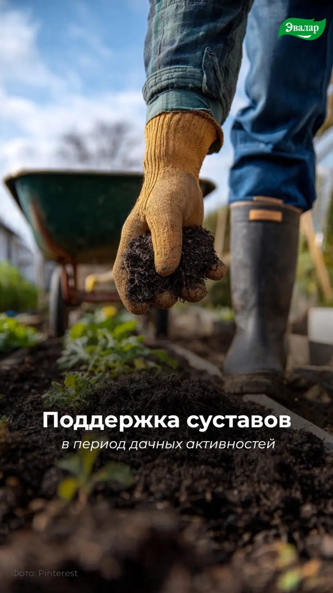🌿Суставы скажут спасибо: 5 советов для дачного сезона