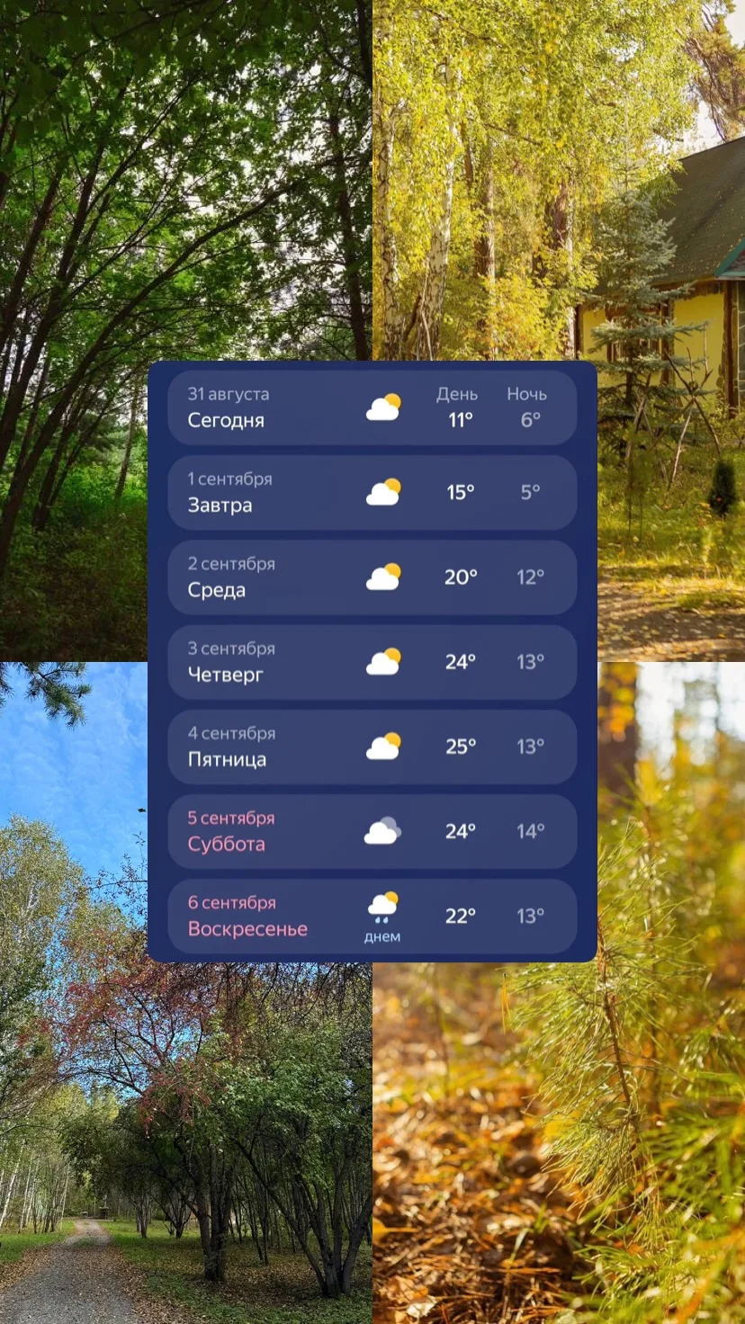 🌡️ Сентябрь встречает теплом!