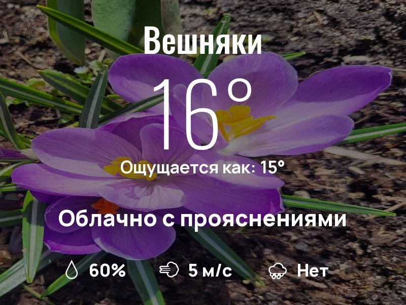 Что с погодой в Вешняках?