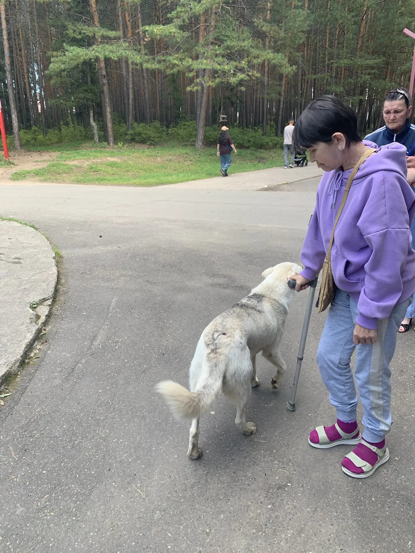 🌳 **Прогулка в городском парке**