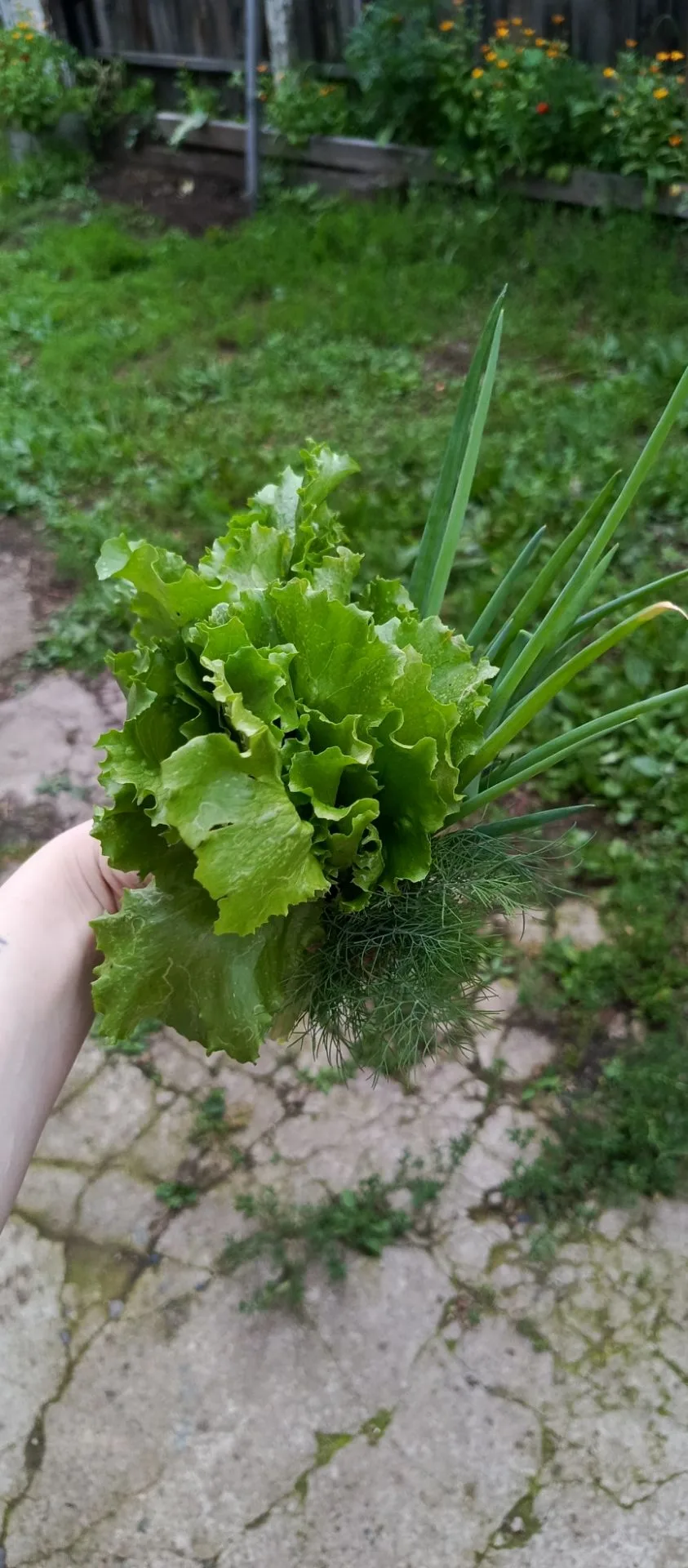Салатный букетик 🌿