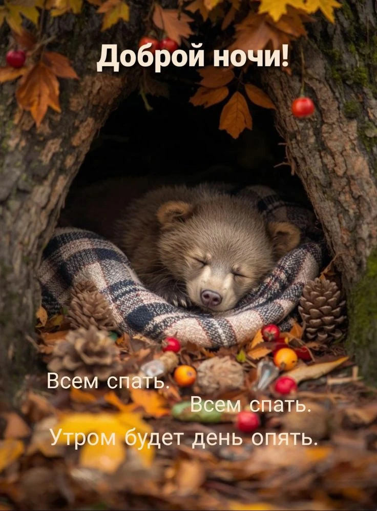 https://max.ru/channel_kartinka_advice