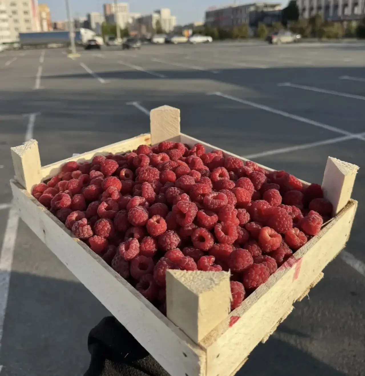 Продолжаем принимать заказы на свежую ягоду из Киргизии. Успевайте заказать малину - он...