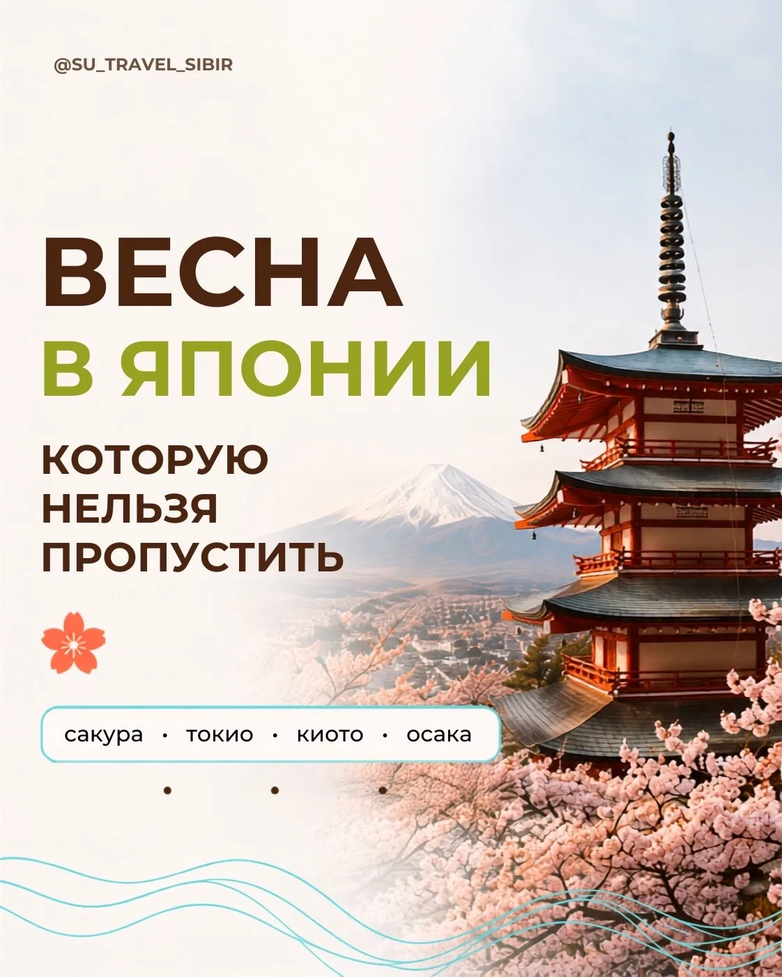 Весна в Японии — тот самый сезон, который хочется увидеть хотя бы раз 🌸🇯🇵
