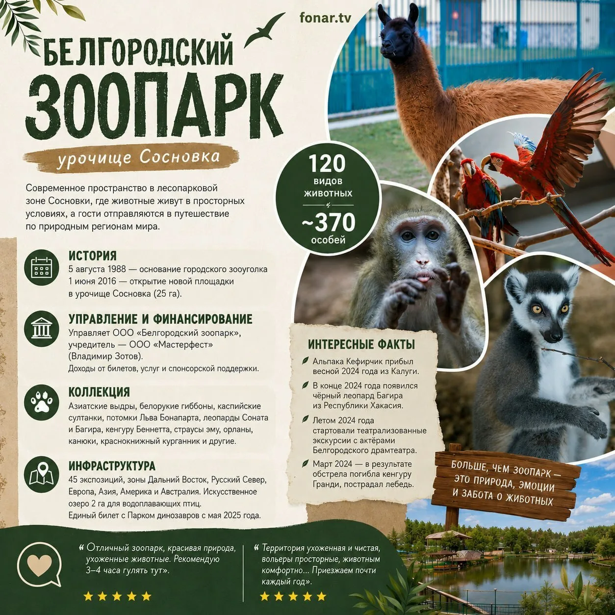 🦒 От Белгорода до Липецка: что скрывают зоопарки Черноземья

«Фонарь» решил узнать, как живут звери