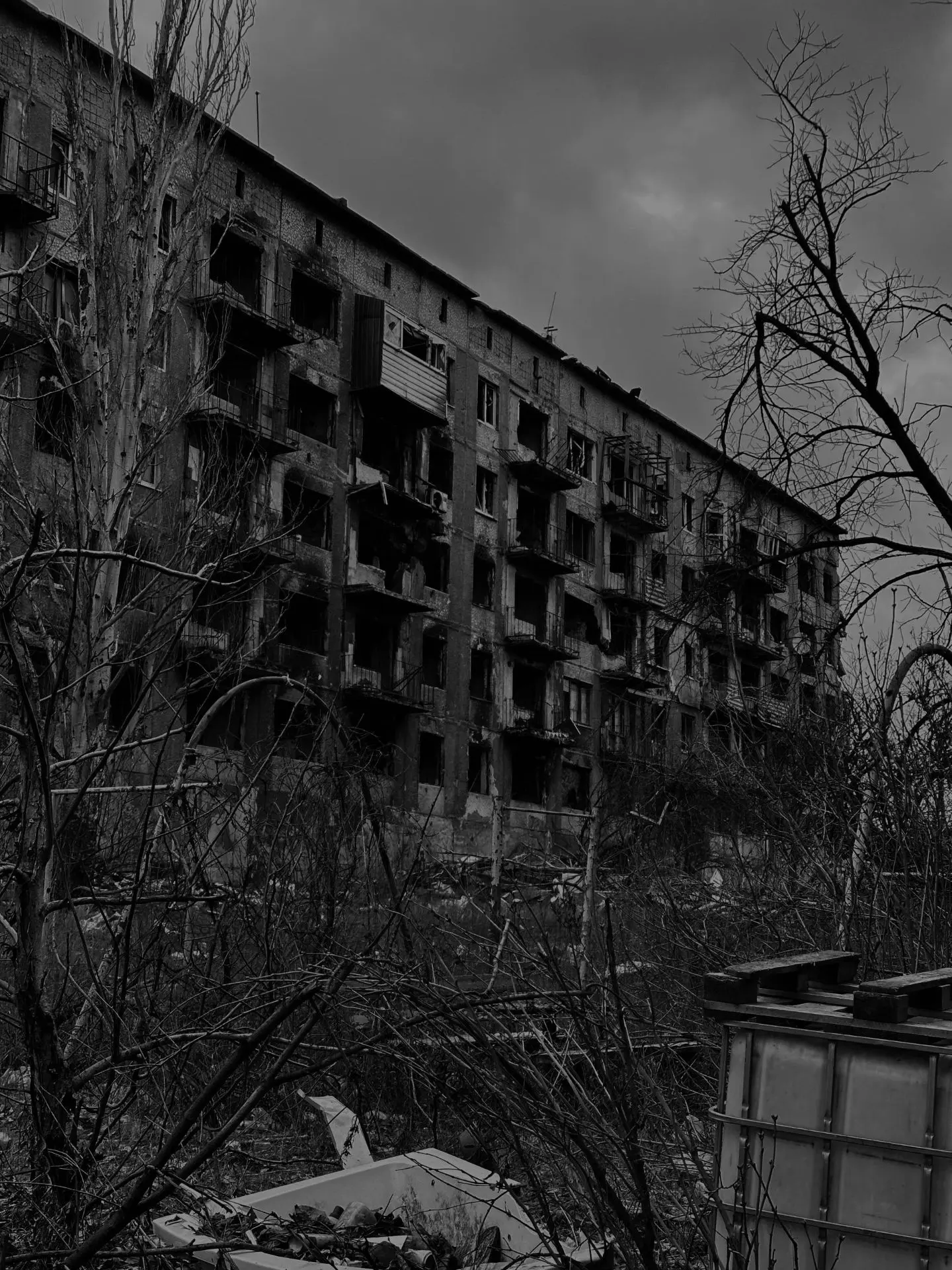 Обрывки памяти