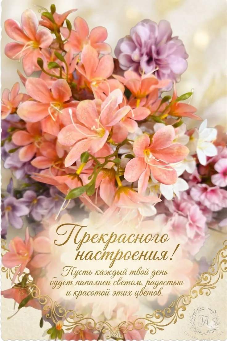 👉 Наши каналы. Подписаться.