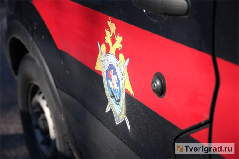СК возбудил уголовное дело после исчезновения девушки в Тверской области  По данным следствия, 15-ле