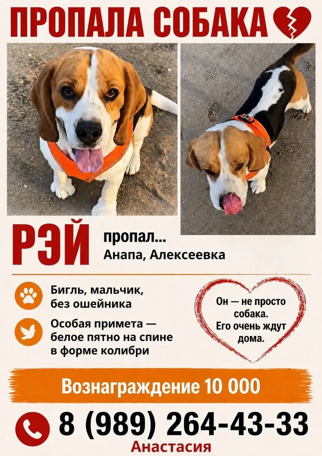 ❗️ВОЗНАГРАЖДЕНИЕ 10 000