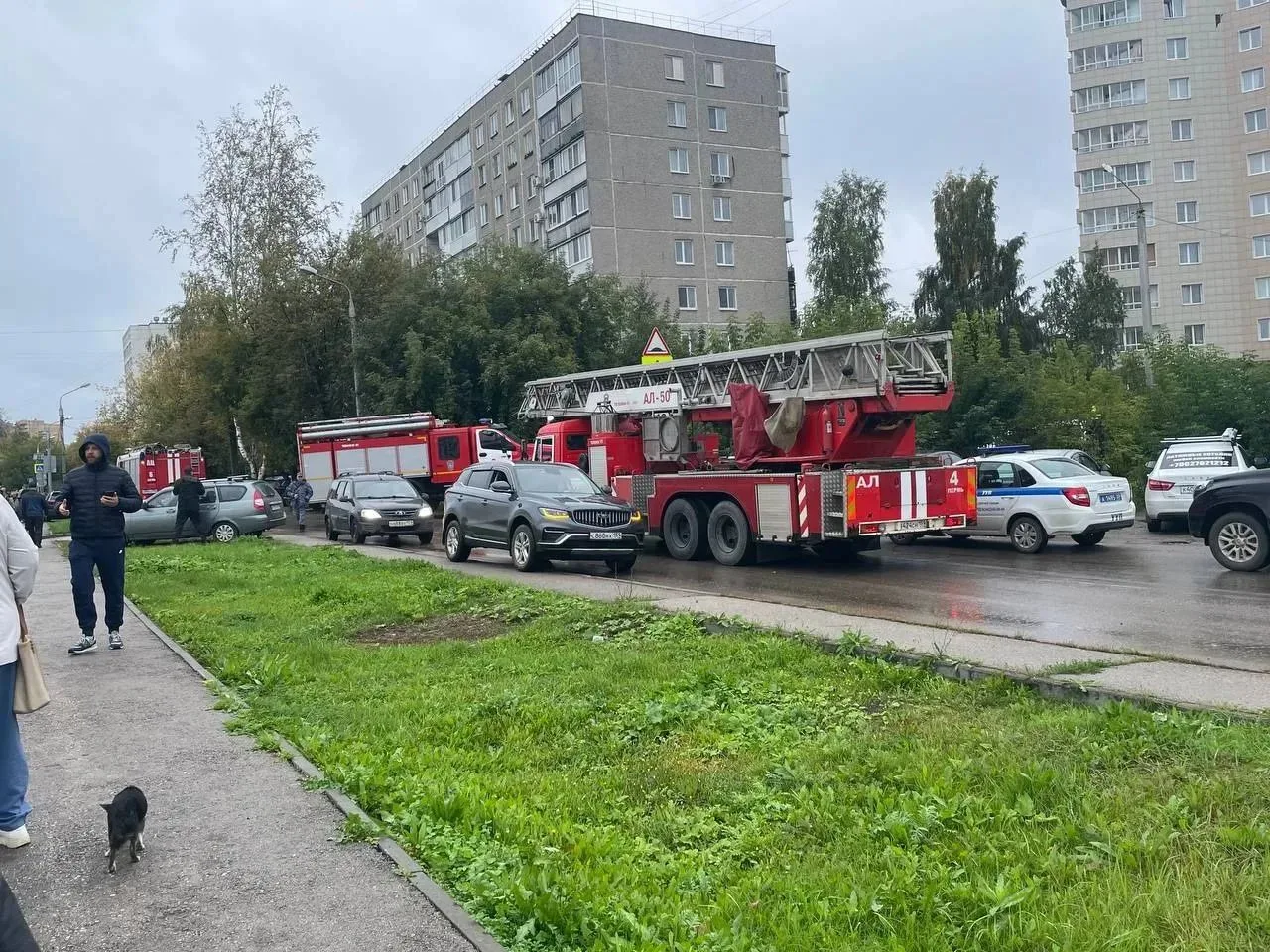 ⚡️Абсолютно все дороги на светлогорской перекрыты. Движение остановлено.