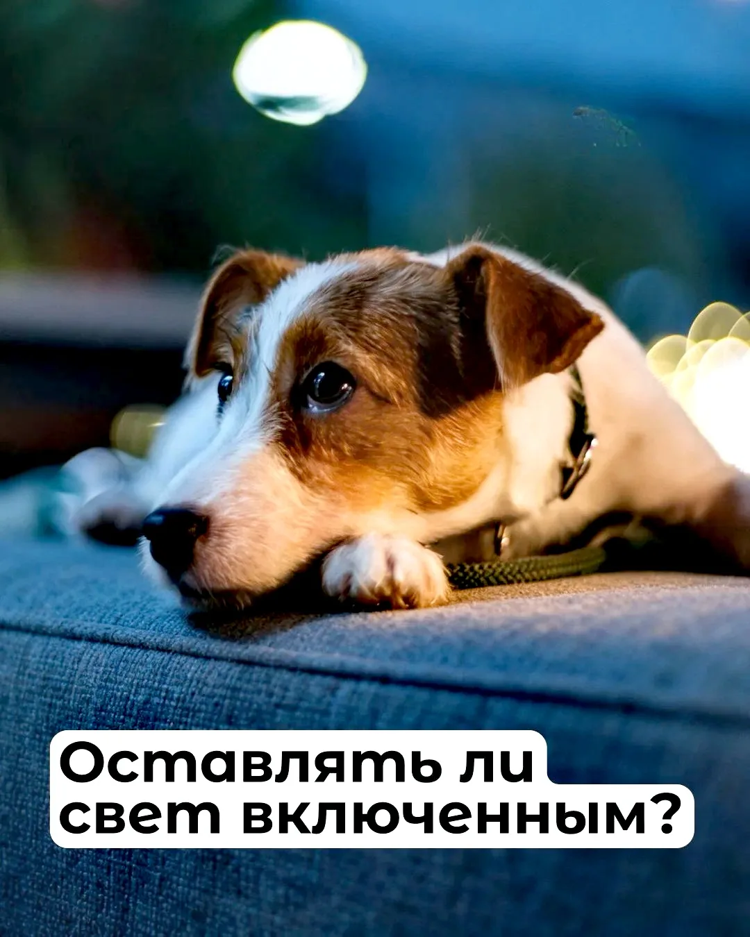 Дом пустеет, дверь закрывается, хозяева уходят. В этот момент владельцы нередко задумыв...