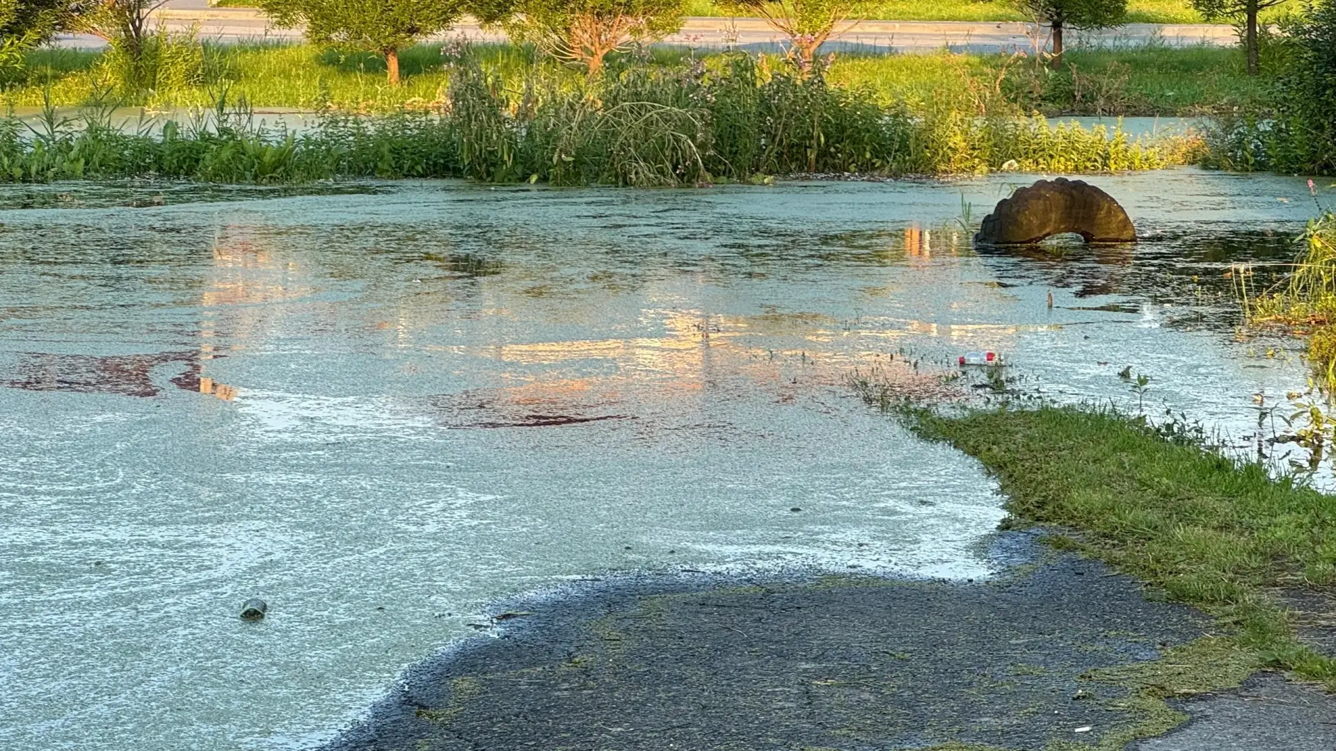 Казарово! За сутки вода вышла из берегов, подошла к домам. Какие меры приняты?!!!