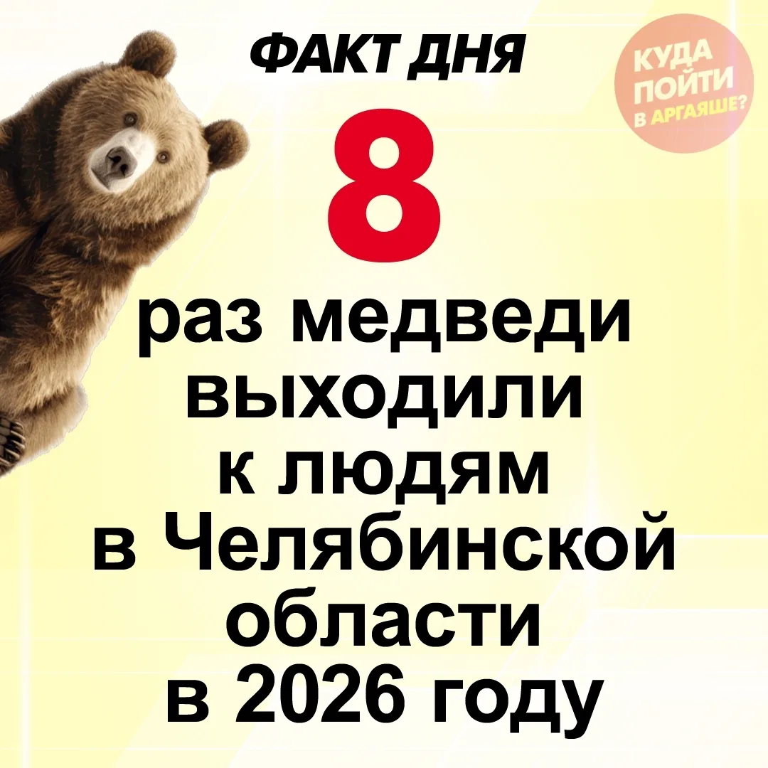🐻 Восемь раз медведи выходили к людям в Челябинской области в 2026 году