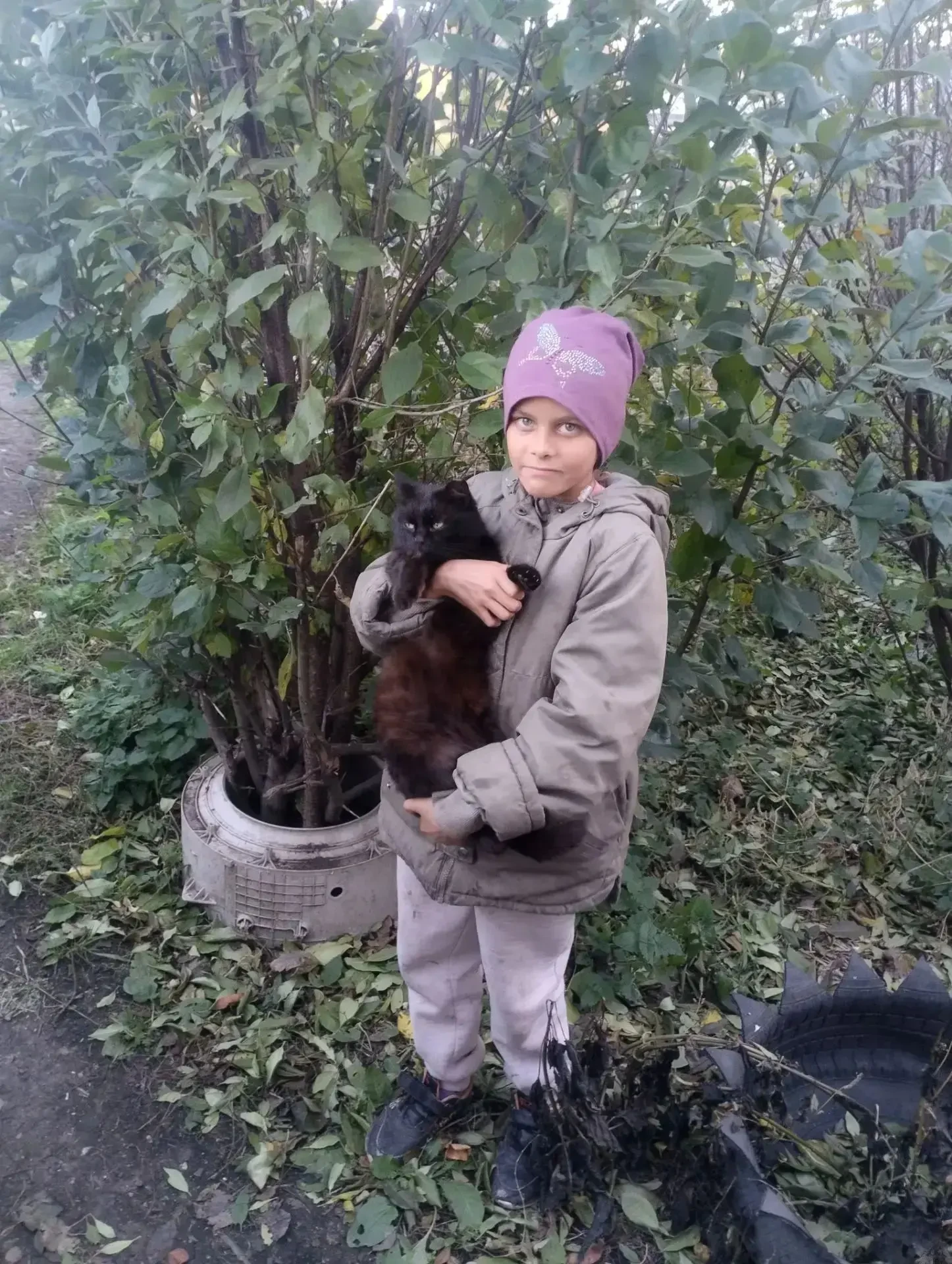 Нашего кота Ваську любит вся семья. А он больше всех любит❤ меня, потому что я с ним иг...